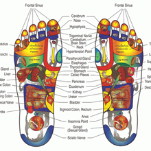 Reflexology